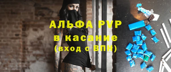 MESCALINE Бородино