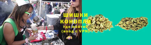 mix Снежногорск