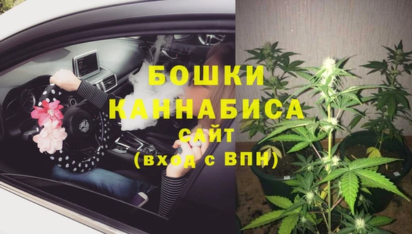 MESCALINE Бородино