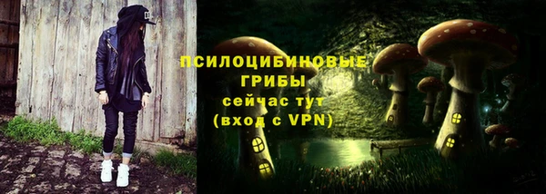 бутират Бугульма