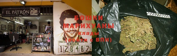 прущие грибы Слюдянка