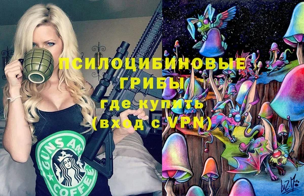 прущие грибы Слюдянка