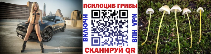 Купить закладки  Сызрань  Псилоцибиновые грибы ЛСД